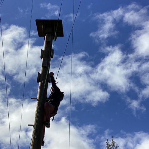 4DA36BD4-D0AF-42DA-99C6-984BEF851B78