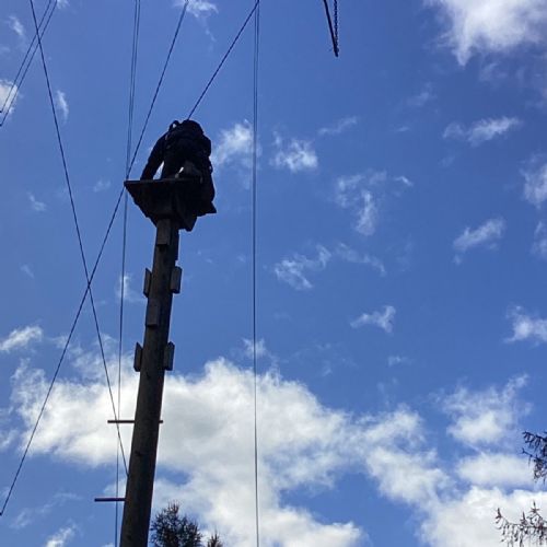 86F0EDC8-C999-495D-972B-0DE85EE48DA2