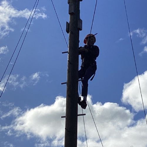 C6C3E599-8E87-4687-9778-B64E7CD342DD