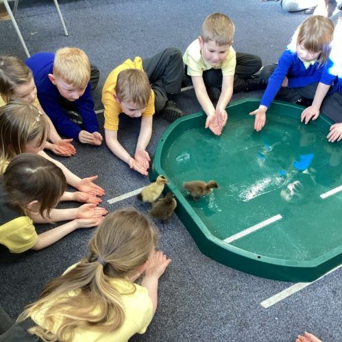 2D6EE9AA-43EB-4998-8282-60BECFAB219F-980x735