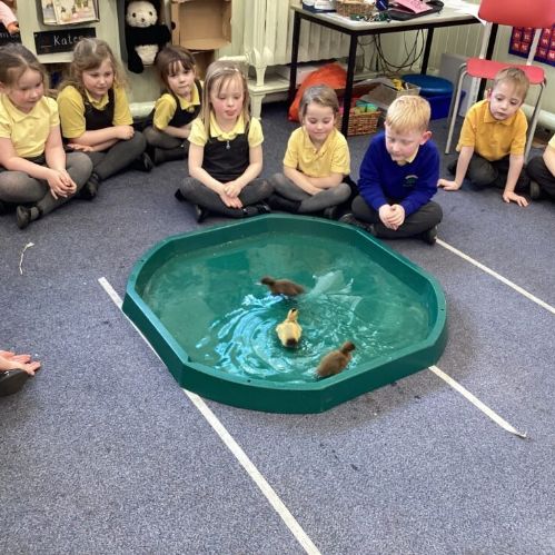 86F6B05E-6A3C-4709-8C5B-0BC4469A741C-980x735