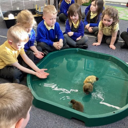 C2A54E5E-252B-4257-A041-6FEFF24CC0B0-980x735