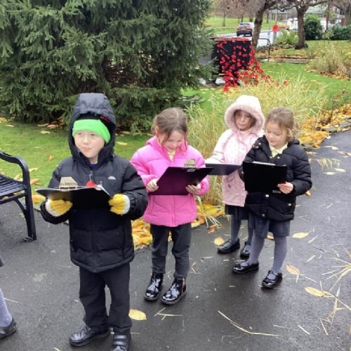 06A4B54A-B251-4FAA-97E4-636A8AEAFAFC-768x1024