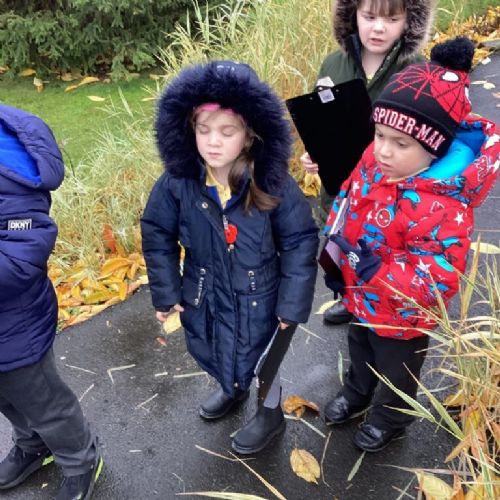 C8BEB426-5F8F-4C51-B938-1958C1B711D1-768x1024