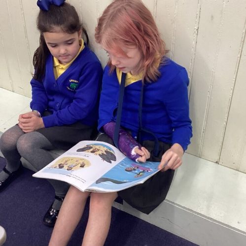 56BF97D1-FC71-4F8A-B78E-8C1D2C214C66-980x735