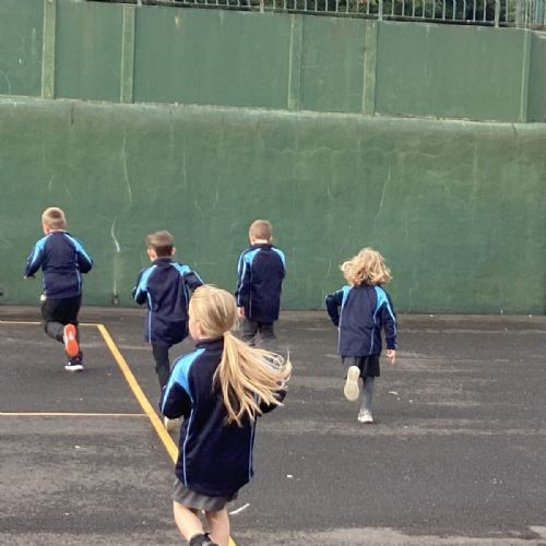 BEE86C25-784A-4BE6-B264-1F25245CC039-scaled