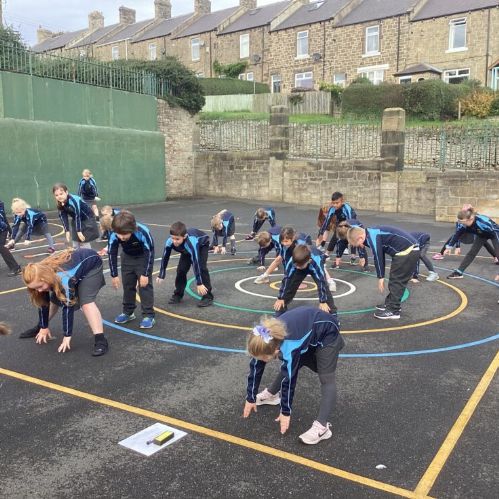 E50C4382-3EB6-40D5-8091-B026E418C385-980x7351)