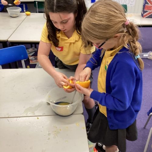 Year 3 Mummify Oranges!