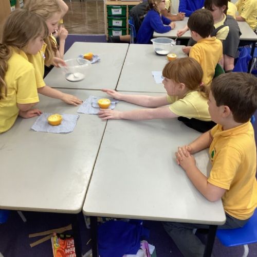 68FDAE7C-C9B5-4622-8DF9-E46C3E59EE3E-768x1024