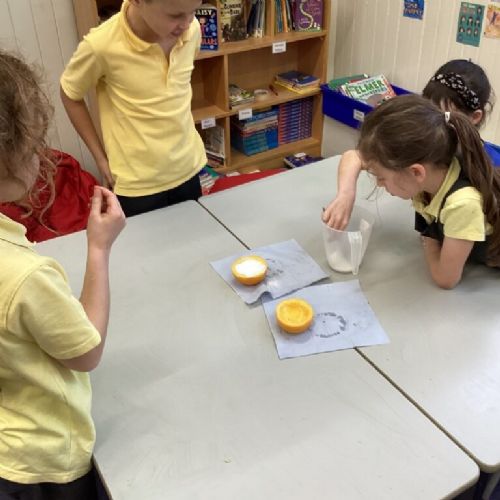 8B71815F-D1CC-48A0-BFC4-FFF3CCE7C19D-768x1024