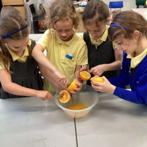 A056674B-C906-4F69-A530-F9A60CA82B3A-768x1024