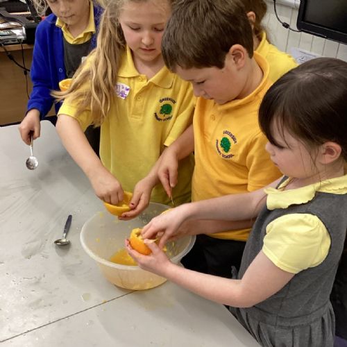 D5068B89-110C-44FB-A6A5-73631B93CD45-edited-scaled