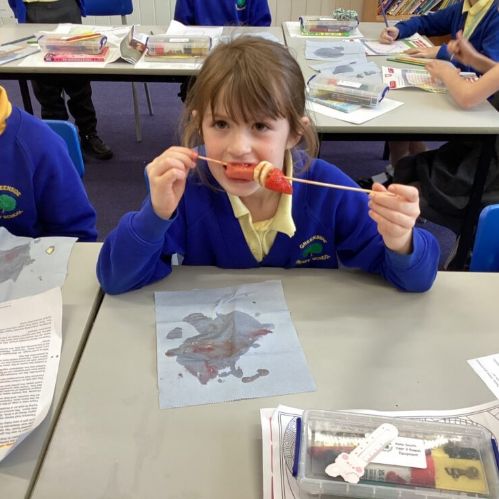 EDC7526D-E0F2-4E42-93F4-3B857E490E78-980x735