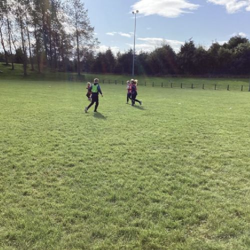 29AF279E-B15A-4047-887D-8599D5755599-980x782