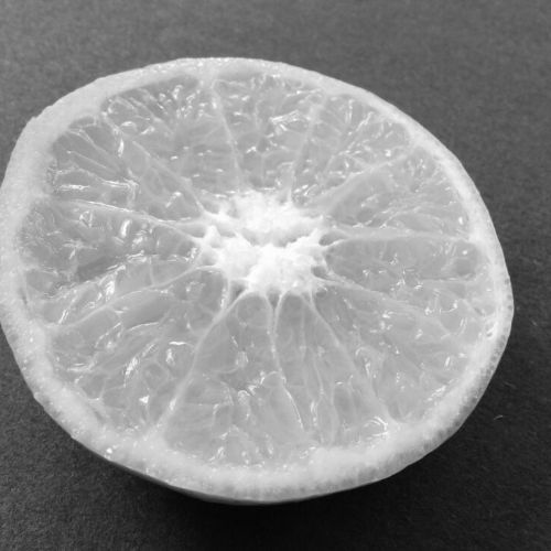 Year 6 Macro Photography