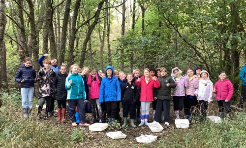 Year 5 Visit Harehope Quarry