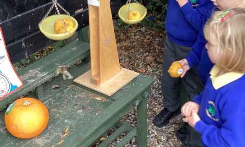 Greenside Primary Pumpkin Patch!