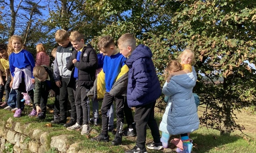 Year 4 Visit Vindolanda and Housesteads