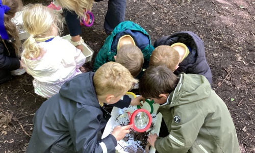 Marvellous Minibeasts @ The Rising Sun Country Park